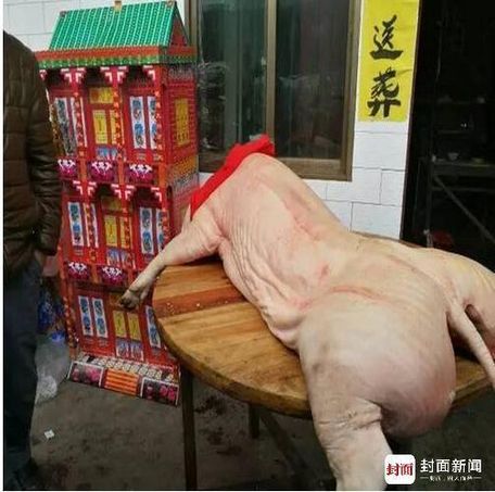 梦见棺材棺材里面的人还没死，梦境背后的深层解析与心理启示